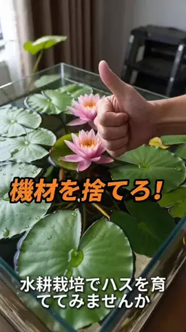 oota.mei86のTikTok投稿