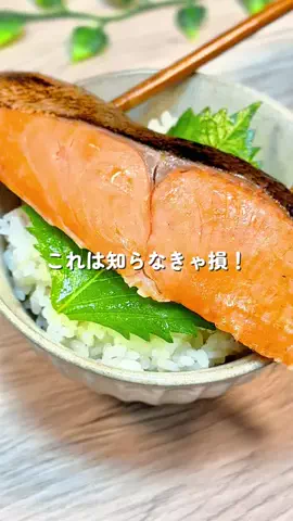 あちこのTikTok投稿