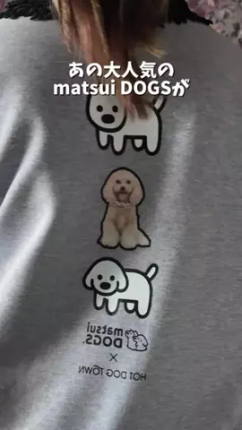 マルプーのんのん｜犬連れお出かけガイドのTikTok投稿