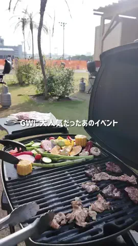 マルプーのんのん｜犬連れお出かけガイドのTikTok投稿