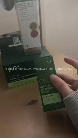 蛍のTikTok投稿