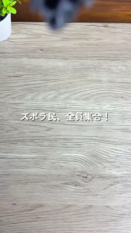 あちこのTikTok投稿
