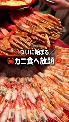 りん【お出かけ大好きESFJ】のTikTok投稿
