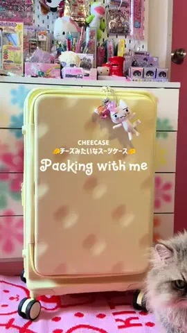 平成を生きるはらだんのTikTok投稿