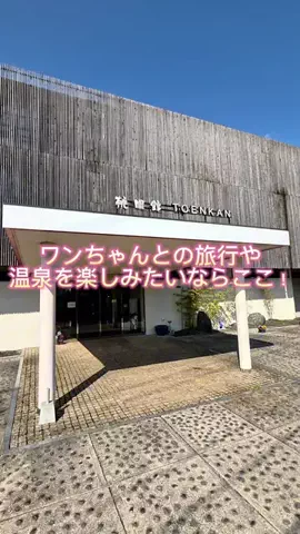 ちぎやのソーのTikTok投稿