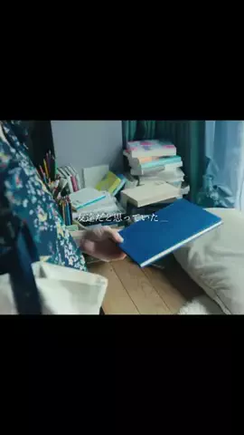 maruta｜映画案内のTikTok投稿