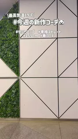 muuのTikTok投稿