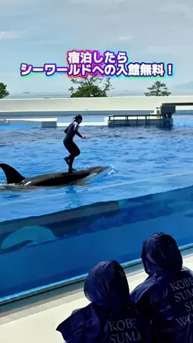 ちぎやのソーのTikTok投稿