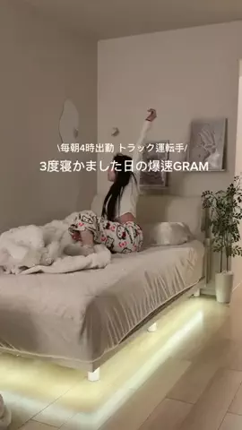 にな￤1K9畳のTikTok投稿
