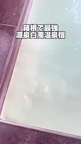 37歳おっさん旅垢のTikTok投稿