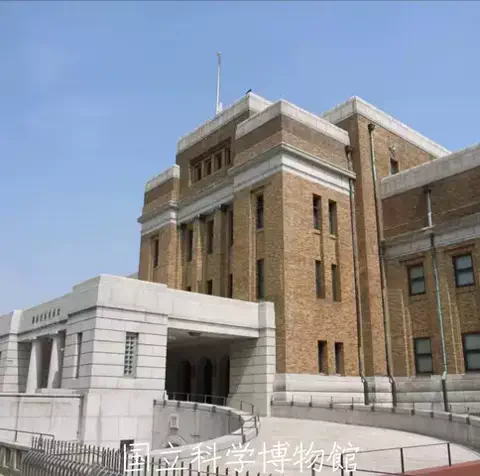 mのTikTok投稿