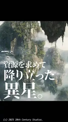 maruta｜映画案内のTikTok投稿