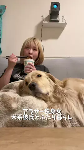 おにゅこじハウスのTikTok投稿