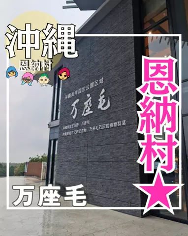 ちむどんぐらむ×しんごぉ↑↑のTikTok投稿
