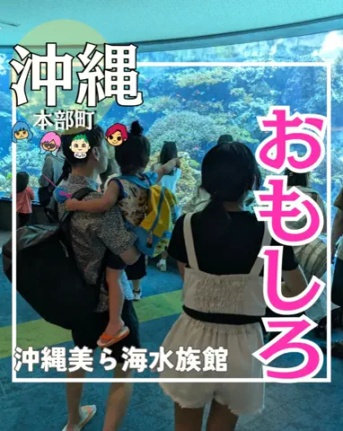 ちむどんぐらむ×しんごぉ↑↑のTikTok投稿