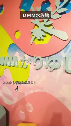 ちむどんぐらむ×しんごぉ↑↑のTikTok投稿