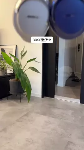 ASUのTikTok投稿