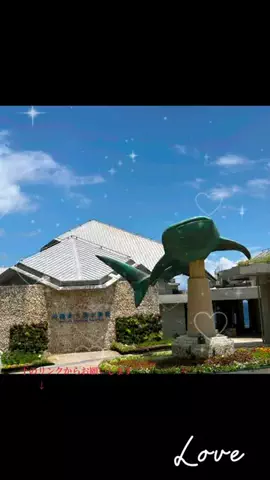 のん🛹のTikTok投稿