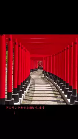 のん🛹のTikTok投稿