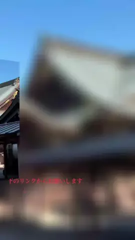 のん🛹のTikTok投稿