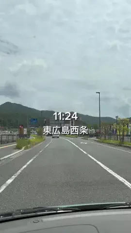 せいな飯のTikTok投稿