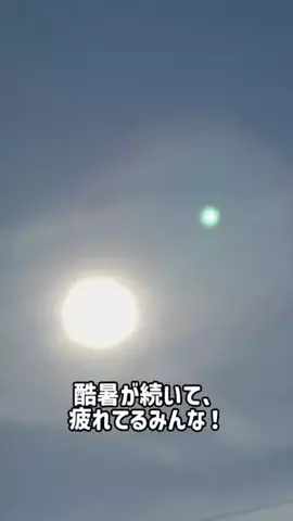 バカ売れ研究所のTikTok投稿