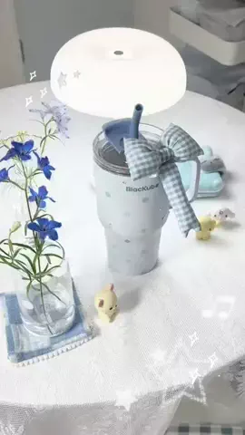 am  7畳のTikTok投稿