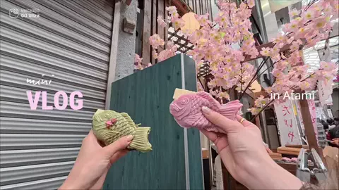 ゆず⌇東京･首都圏おでかけ&ぷち旅のTikTok投稿
