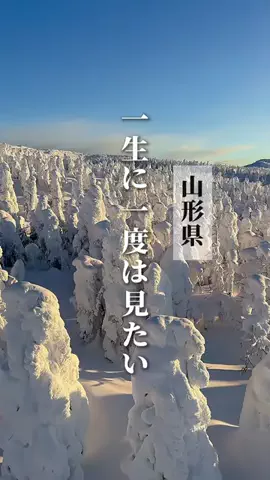 momo✈︎年間100泊するプロ遊び人のTikTok投稿