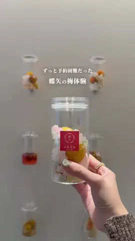 ゆず⌇東京･首都圏おでかけ&ぷち旅のTikTok投稿