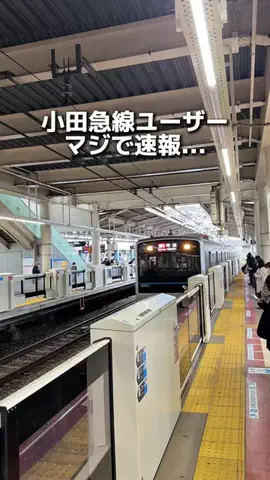 えびなびのTikTok投稿