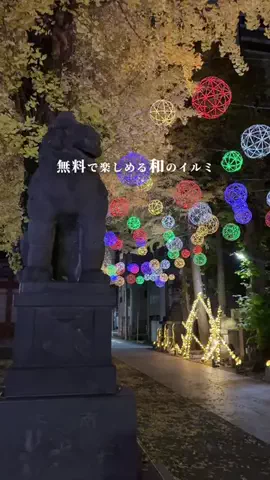 ゆず⌇東京･首都圏おでかけ&ぷち旅のTikTok投稿