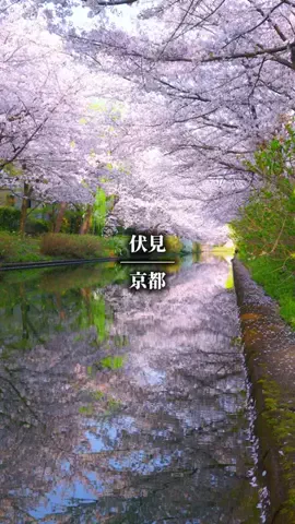 JPの旅人🇯🇵🏃‍♂️のTikTok投稿