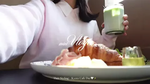 🪽のTikTok投稿
