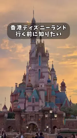 momo✈︎年間100泊するプロ遊び人のTikTok投稿