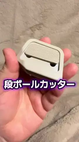 🍋remon🍋🏍️coelacanthのTikTok投稿