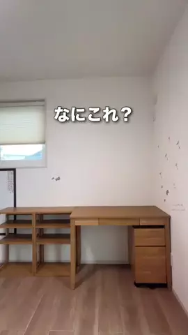 ひか｜面倒くさがりでも片付く収納のTikTok投稿