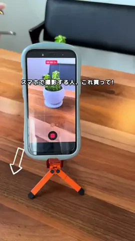 ほんちゃん⌇ -10kgママの自分磨きのTikTok投稿