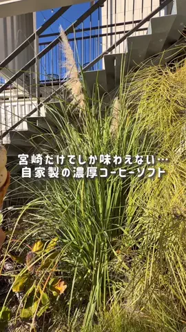 あず👸🏻🏝【宮崎グルメ 観光】のTikTok投稿