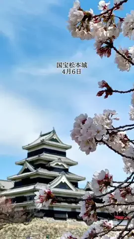 オヤジ飯🐱長野グルメ食べ歩きのTikTok投稿