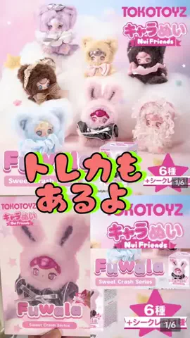 キラリンwithハチワレ猫🐈🐈のTikTok投稿