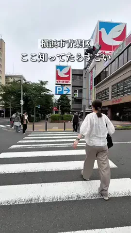 あじんころ||横浜北部周辺ガイドのTikTok投稿