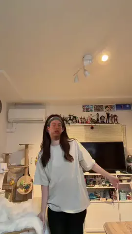 幻のTikTok投稿