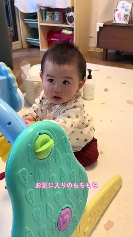 bucho_kachoのTikTok投稿