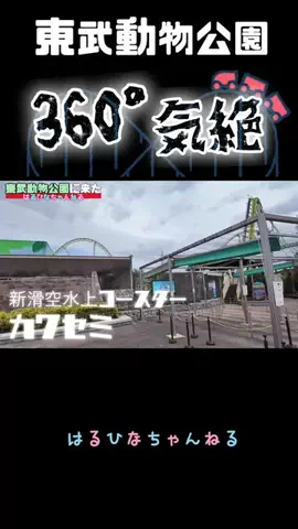 はるひなちゃんねるのTikTok投稿