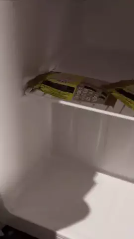 ねこのきもちのTikTok投稿