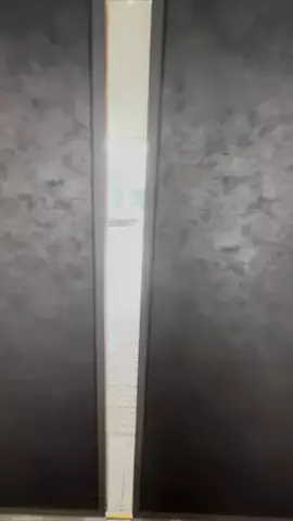 ねこのきもちのTikTok投稿