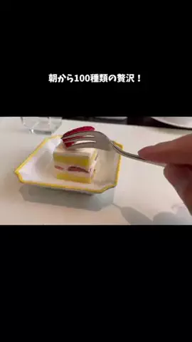 たつ｜ホテル好き旅のTikTok投稿