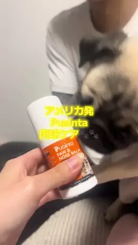 ハローきな子🎀のTikTok投稿