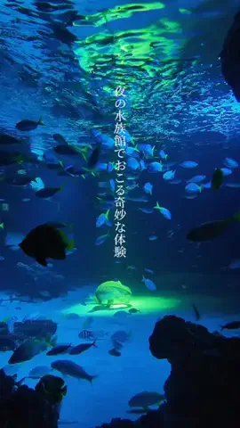 初音美優華（みゆか）のTikTok投稿